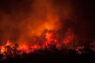 Homes destroyed in fire