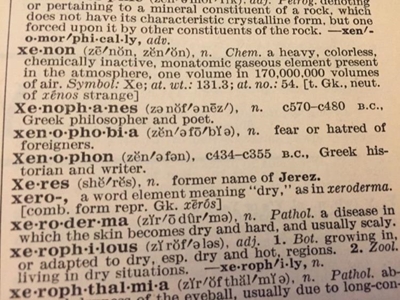 Call for state to act on xenophobia