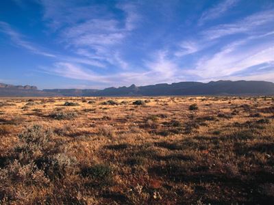 Tasman misses document deadline for Karoo uranium mining