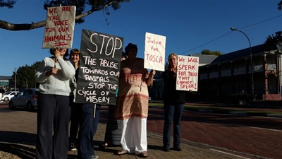 "We are sick and tired of animal abuse"