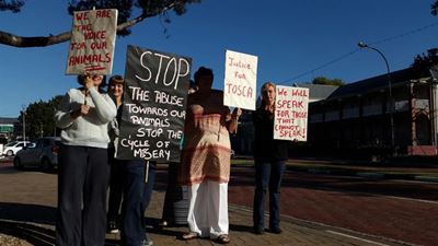 "We are sick and tired of animal abuse"