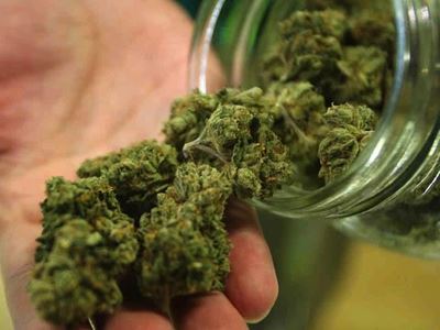 Wettige dagga: Lewer nou kommentaar