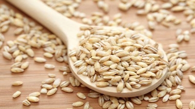 Compiling a fertilisation programme for a barley crop