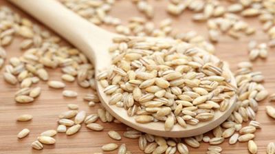Compiling a fertilisation programme for a barley crop