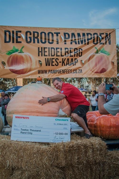 519,5kg Pumpkin wins in Heidelberg