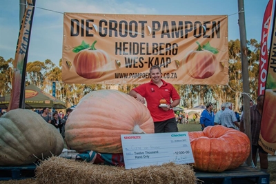 519,5kg Pumpkin wins in Heidelberg