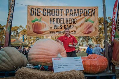 519,5kg Pumpkin wins in Heidelberg