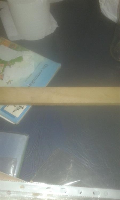 Principal allegedly hits learner with plank