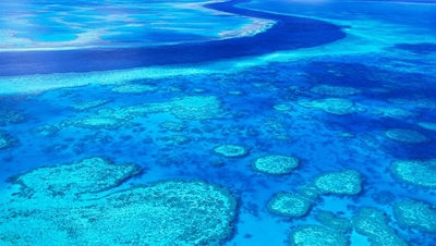 Cyclone Debbie: Experts fear damage to Great Barrier Reef