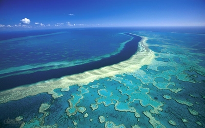 Great Barrier Reef: Two-thirds damaged in 'unprecedented' bleaching