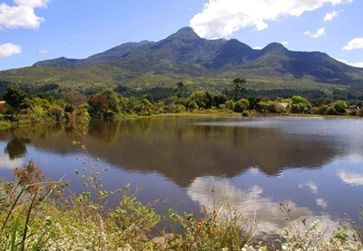 Take part in Walking Festival