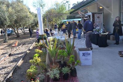 Calitzdorp maak gereed vir Winterfees