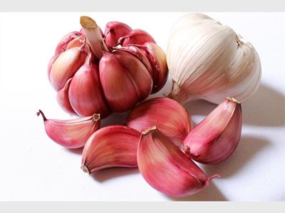 Today is National Garlic Day