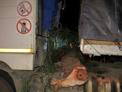 Opvolg: Boom val op vragmotor