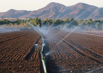 Land Bank to invest R1 billion in emerging farmers
