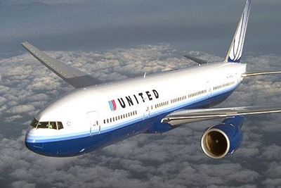 United Airlines investigates giant bunny death