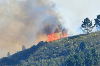 Bergbrand-opvolg