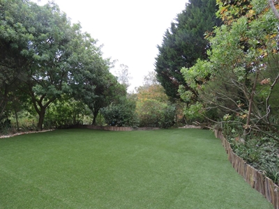 How to have a green garden all year long