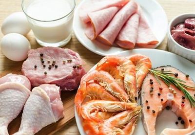 Is a high-protein diet for you?