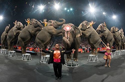 Famous circus stages final show