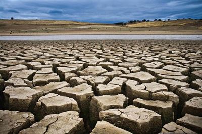 Western Cape needs R3 billion to tackle drought