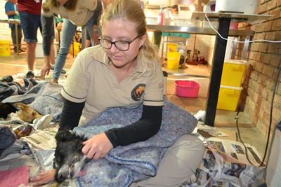 Spay-a-Thon begin vandag