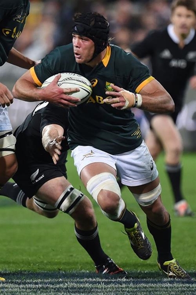 Bok squad for series against France
