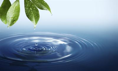Capetonians get creative to save water