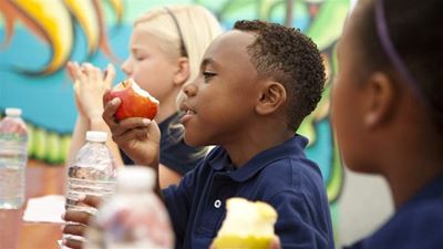 Exams: Best brain-boosting foods