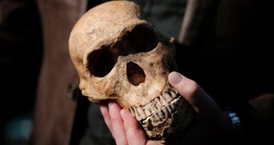 Biggest exhibit of Human-like fossils in SA