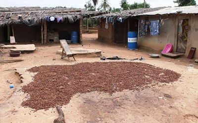 Indigenous foods of Africa Festival