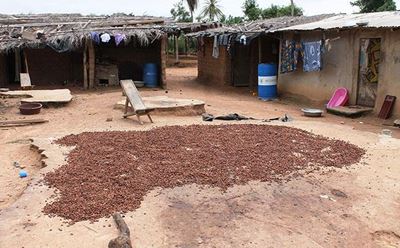 Indigenous foods of Africa Festival