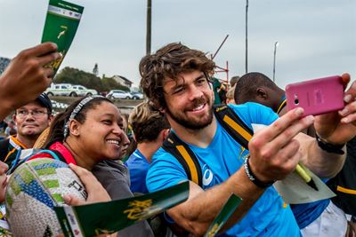 Springboks in Plettenberg Bay