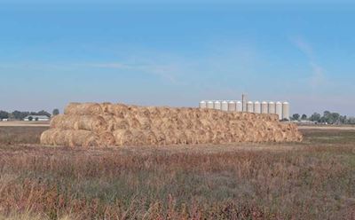 Aid for producers in dry Northern and Western Cape
