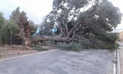 Stormskade in Ladismith