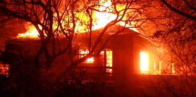 Knysna-brande: Groot insameling