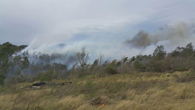 Mosselbaai-brande onder beheer