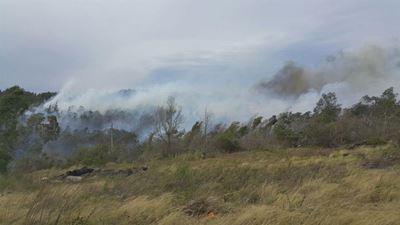 Mosselbaai-brande onder beheer