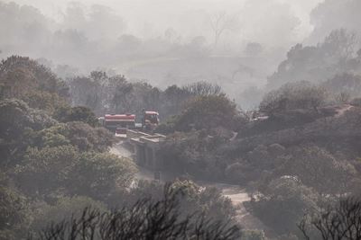 Plett fires: Fire raging in Kransbos area