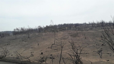 SANParks mop-up operations start