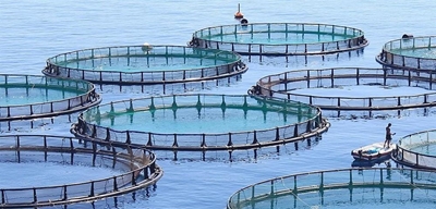 World Aquaculture Conference in Cape Town