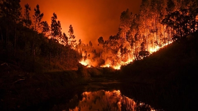 Portugal fire survivor: 'I should have died'