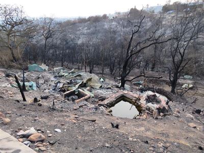 Knysna will rise again
