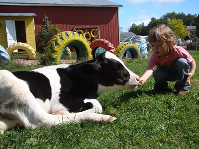 Is agritourism the answer for your farming business’ woes?