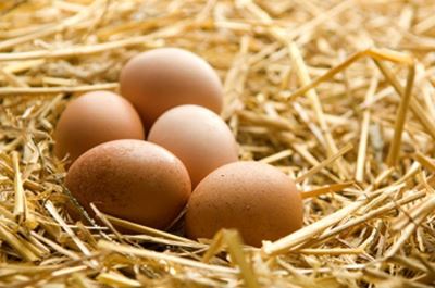 Egg producers extremely concerned about avian influenza