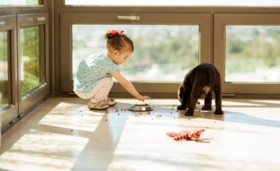 Scary: Pesticides accumulate in the home