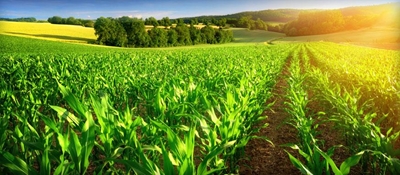 Trends in Africa affecting agriculture