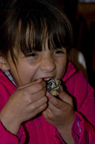 Oyster Festival in full swing