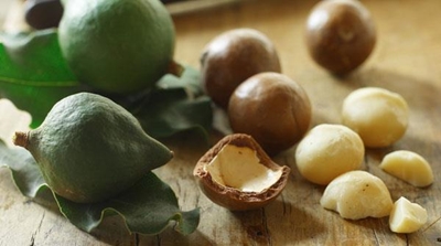 New market opportunities for SA’s macadamias