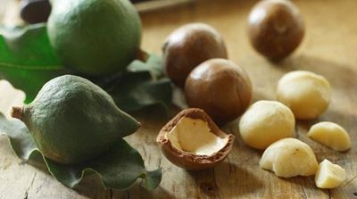 New market opportunities for SA’s macadamias